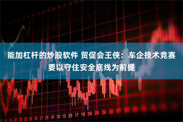 能加杠杆的炒股软件 贸促会王侠：车企技术竞赛要以守住安全底线为前提