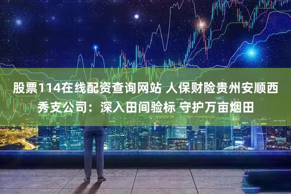 股票114在线配资查询网站 人保财险贵州安顺西秀支公司：深入田间验标 守护万亩烟田