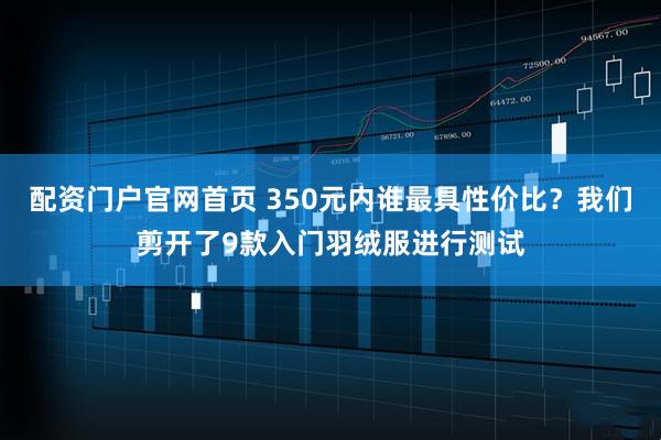 配资门户官网首页 350元内谁最具性价比?我们剪开了9款入门羽绒服进行测试